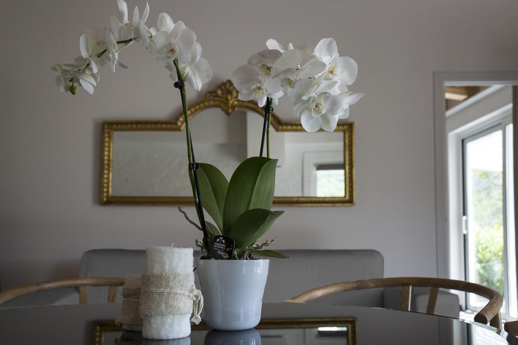 Orchidea Villa Beverino Ngoại thất bức ảnh