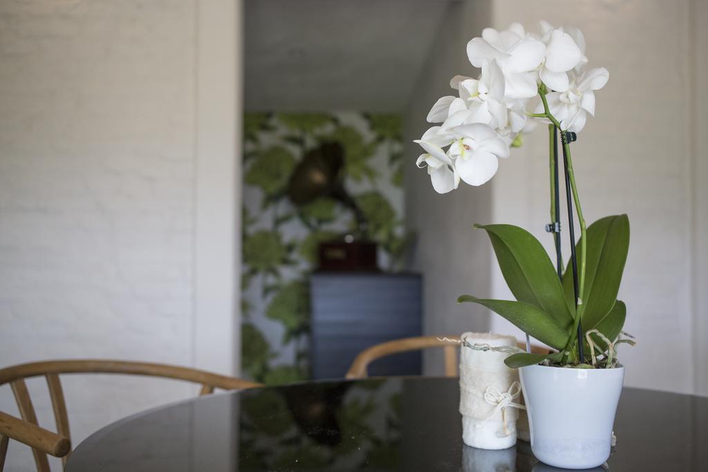 Orchidea Villa Beverino Ngoại thất bức ảnh